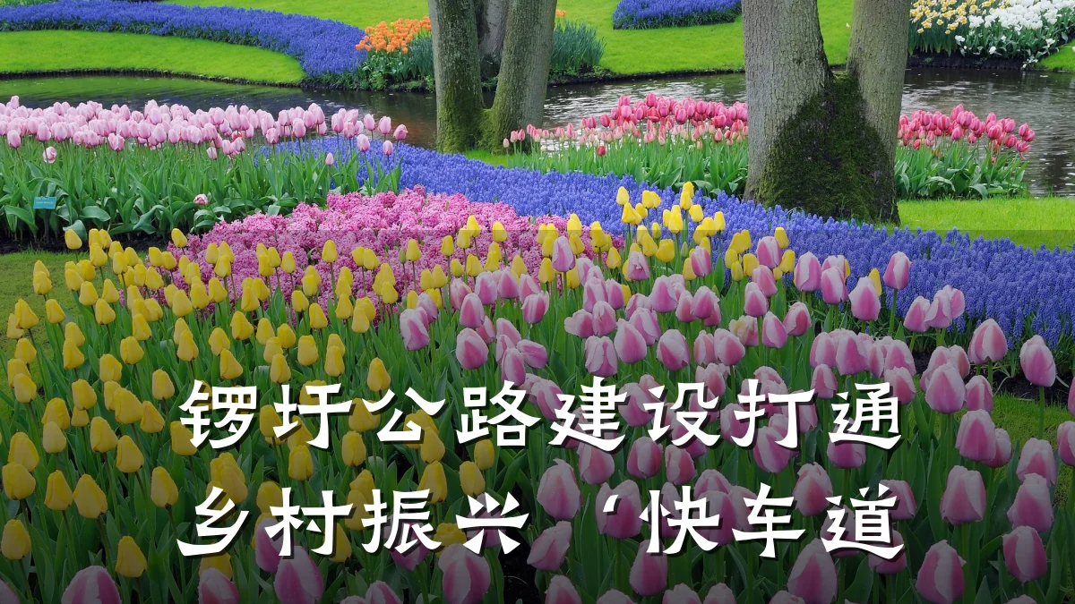 锣圩公路建设打通乡村振兴‘快车道