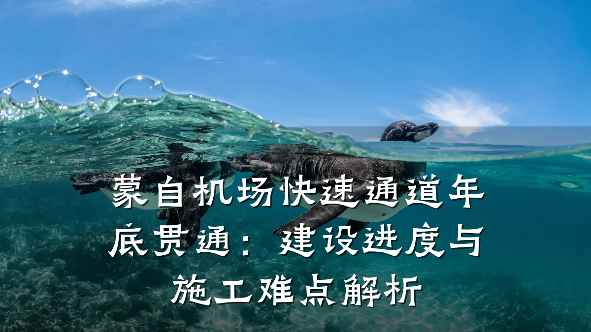 蒙自机场快速通道年底贯通:建设进度与施工难点解析