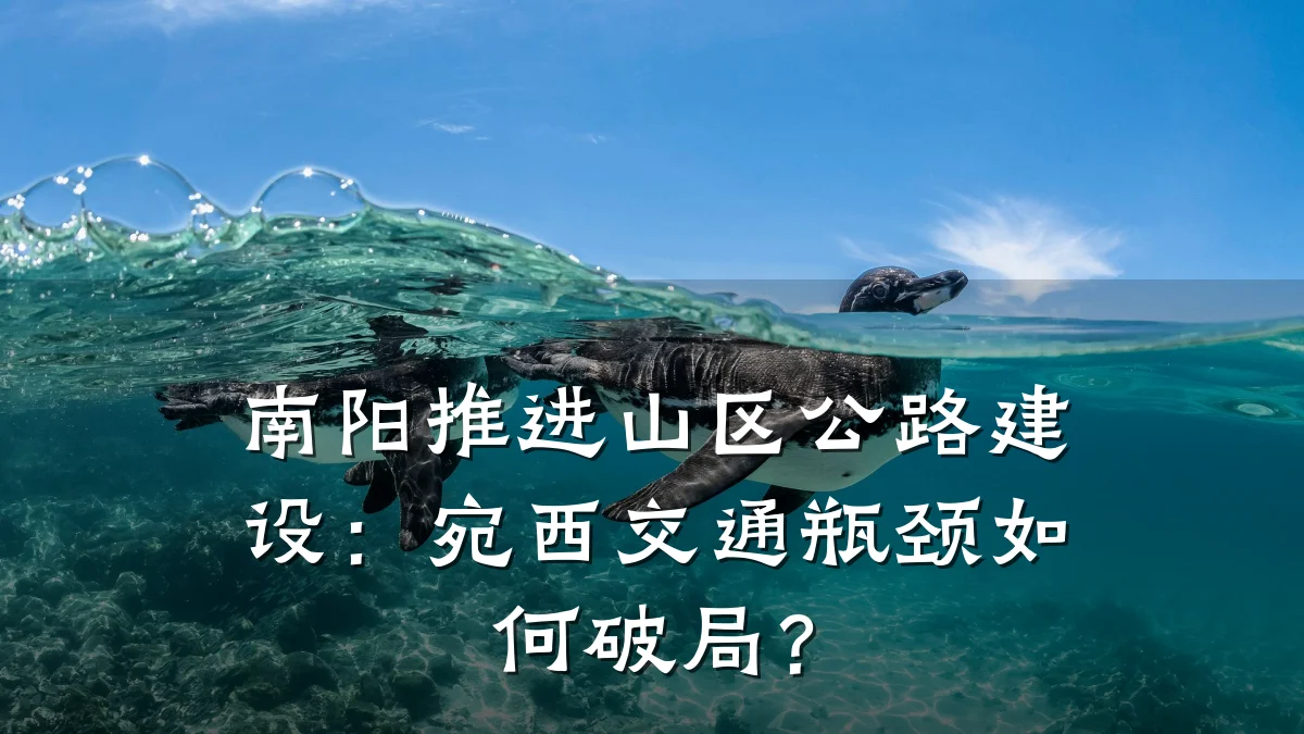 南阳推进山区公路建设:宛西交通瓶颈如何破局?