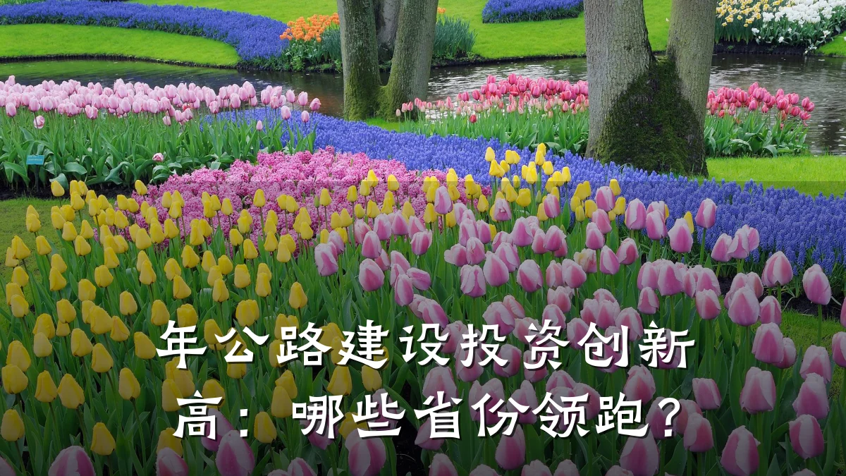 年公路建设投资创新高:哪些省份领跑?