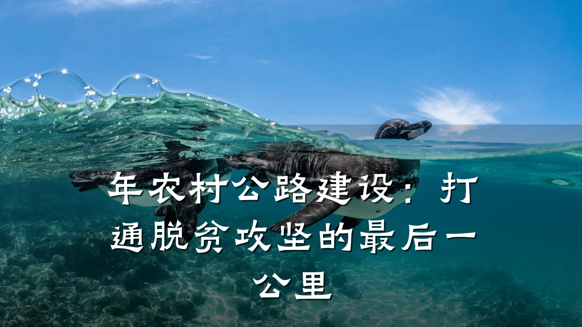 年农村公路建设:打通脱贫攻坚的最后一公里