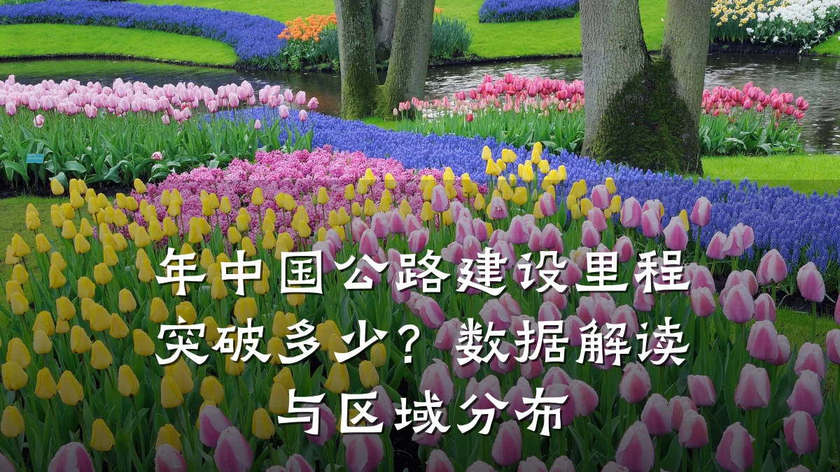 年中国公路建设里程突破多少?数据解读与区域分布
