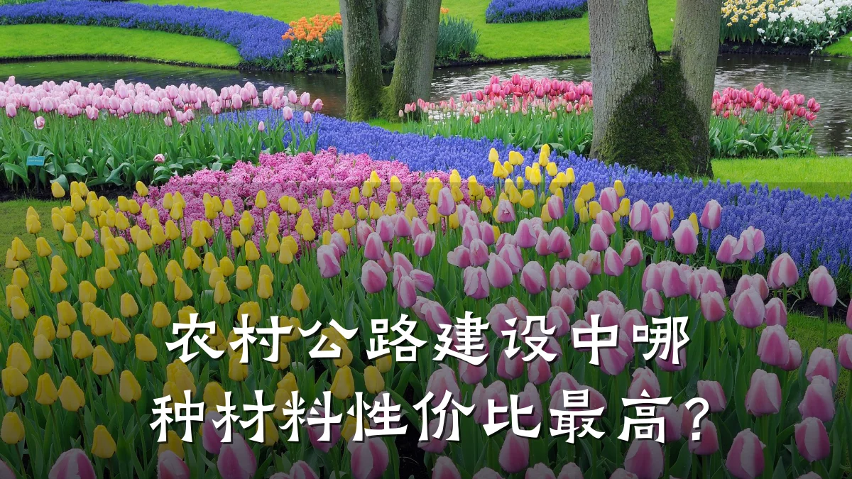 农村公路建设中哪种材料性价比最高?