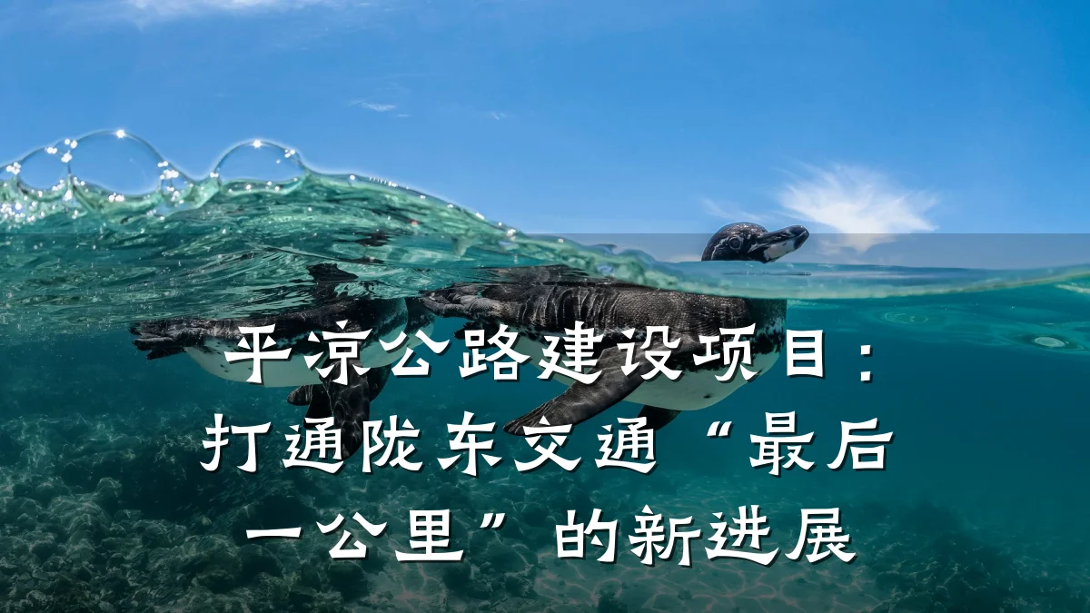 平凉公路建设项目:打通陇东交通“最后一公里”的新进展