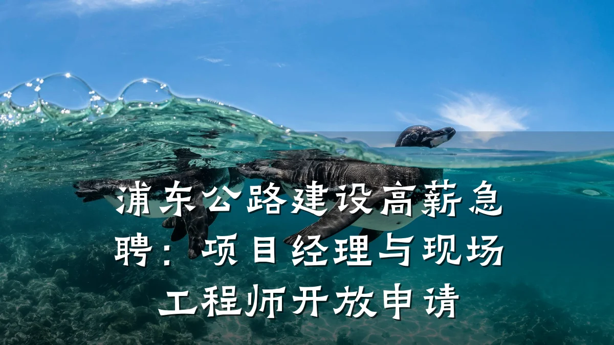 浦东公路建设高薪急聘:项目经理与现场工程师开放申请