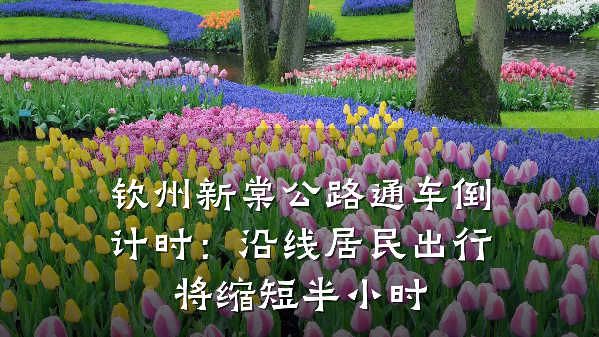 钦州新棠公路通车倒计时:沿线居民出行将缩短半小时