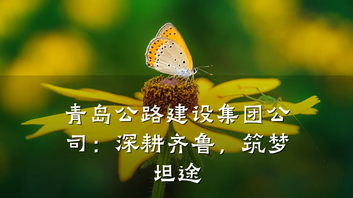 青岛公路建设集团公司:深耕齐鲁,筑梦坦途