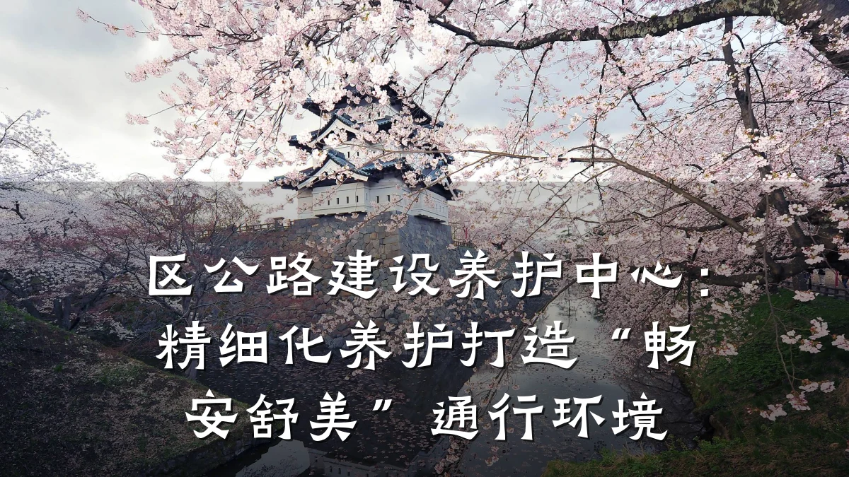 区公路建设养护中心:精细化养护打造“畅安舒美”通行环境