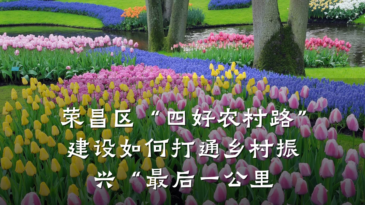 荣昌区“四好农村路”建设如何打通乡村振兴“最后一公里