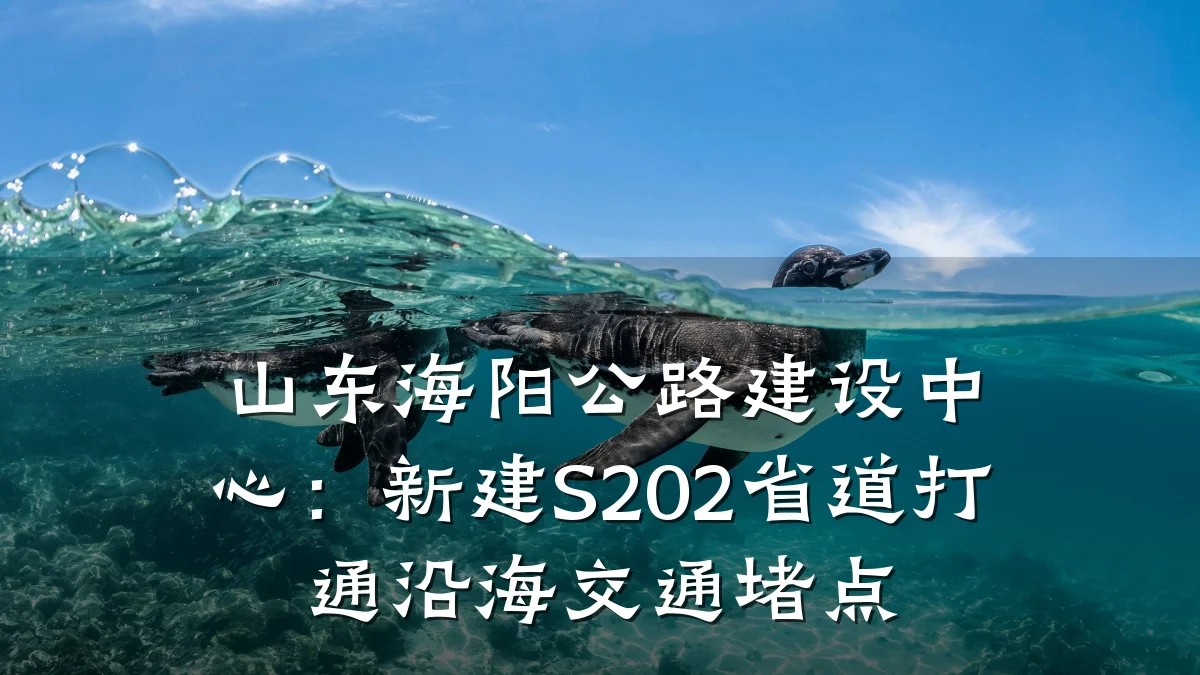 山东海阳公路建设中心:新建S202省道打通沿海交通堵点