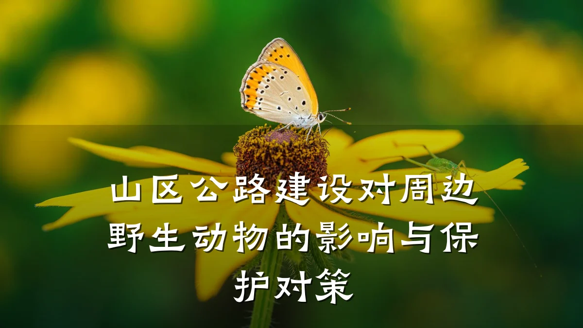 山区公路建设对周边野生动物的影响与保护对策