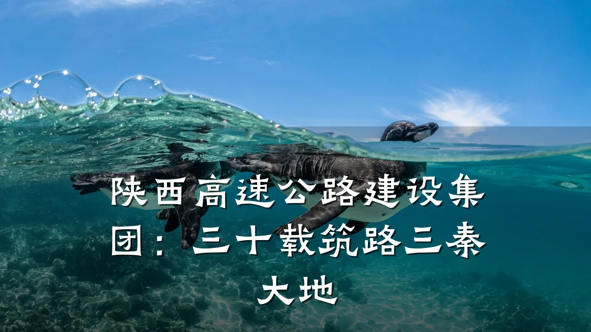 陕西高速公路建设集团:三十载筑路三秦大地