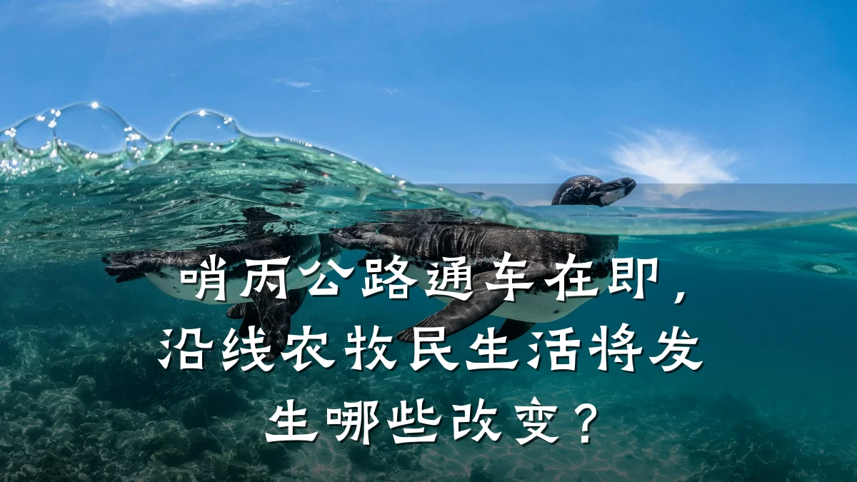 哨丙公路通车在即,沿线农牧民生活将发生哪些改变?