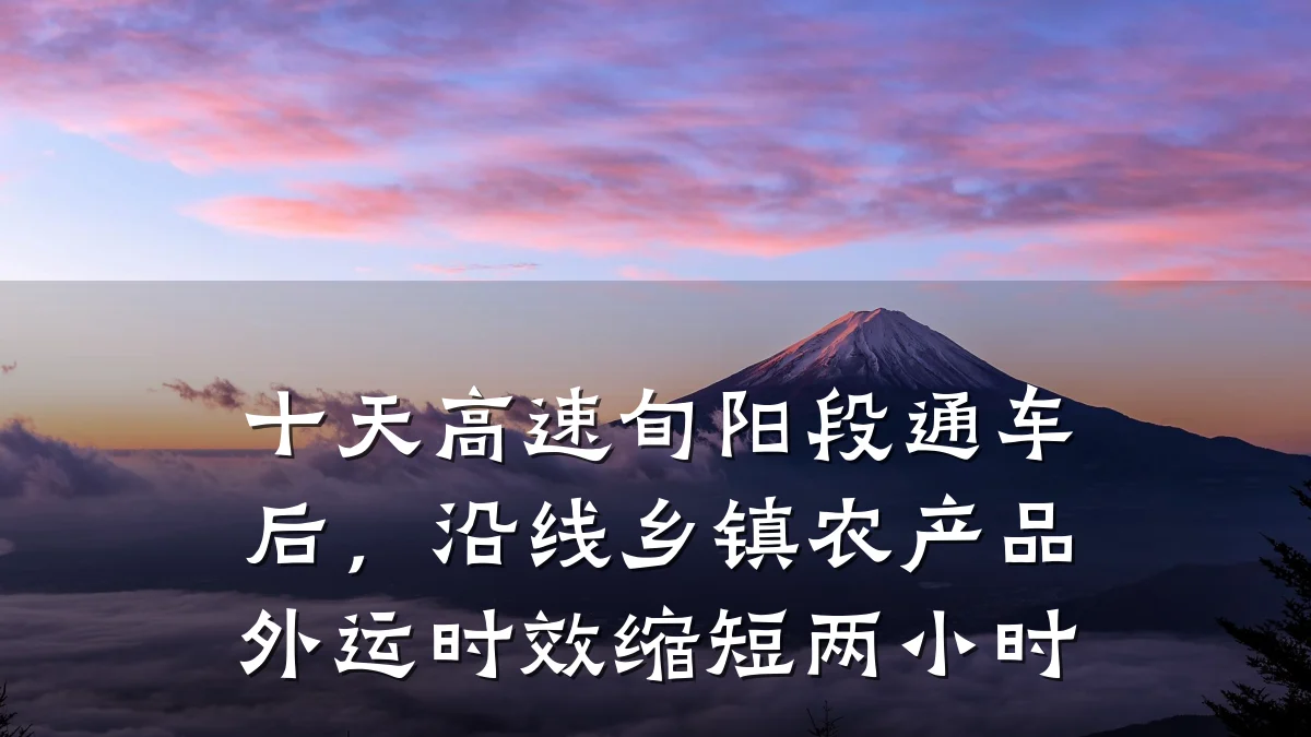 十天高速旬阳段通车后,沿线乡镇农产品外运时效缩短两小时