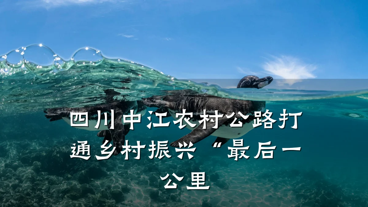 四川中江农村公路打通乡村振兴“最后一公里