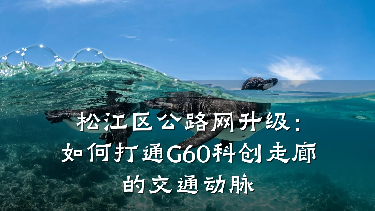 松江区公路网升级:如何打通G60科创走廊的交通动脉
