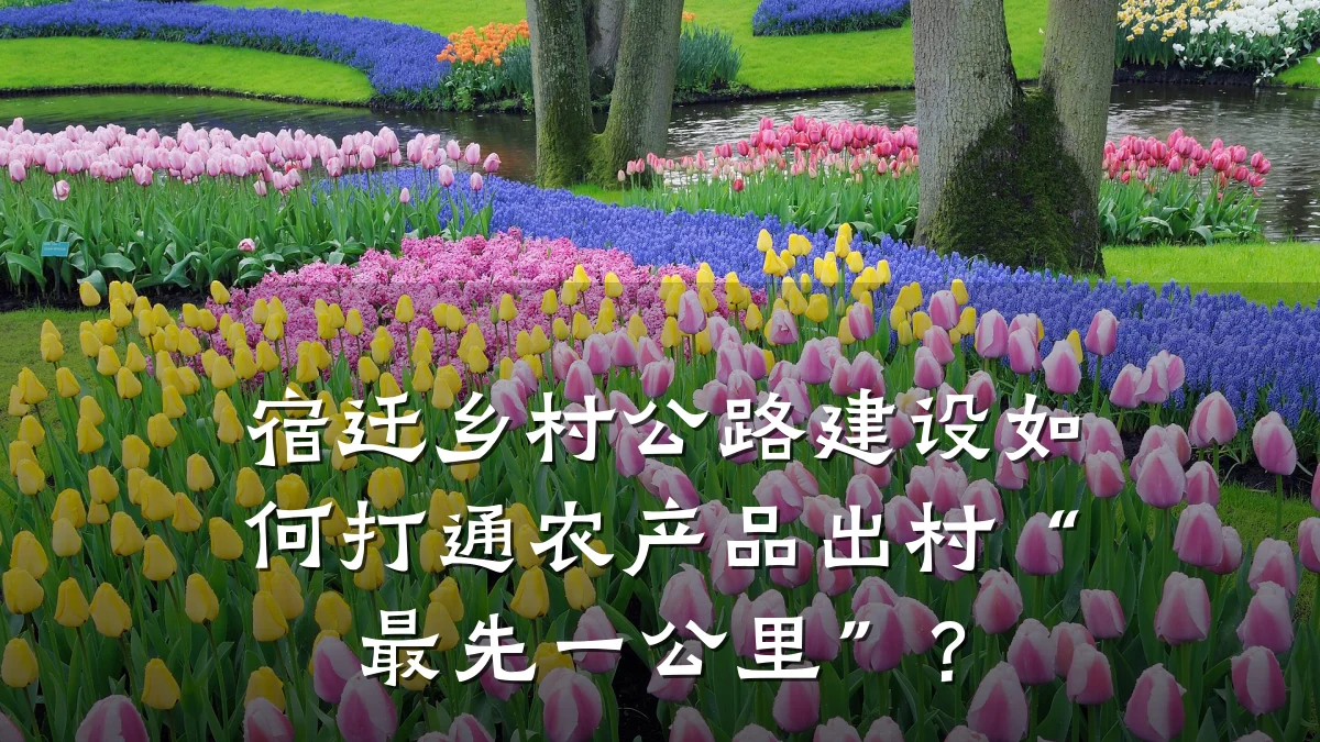 宿迁乡村公路建设如何打通农产品出村“最先一公里”?