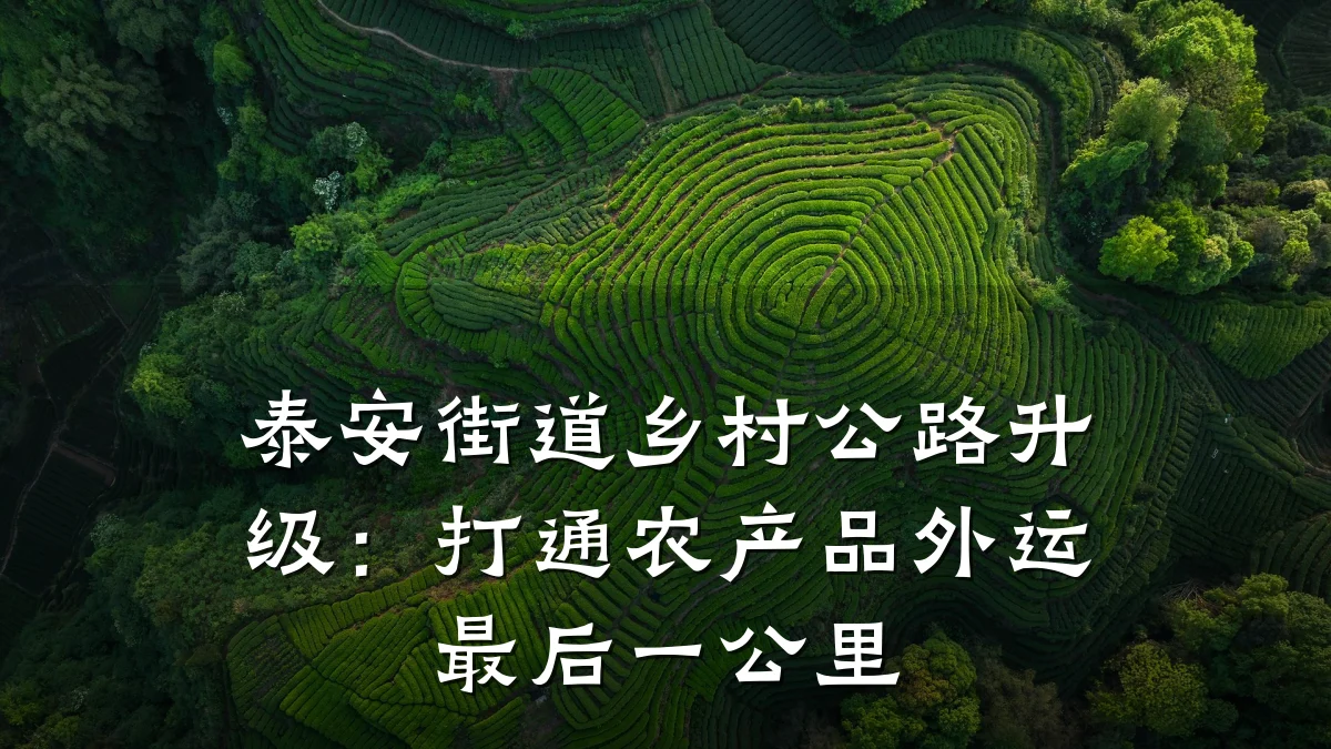泰安街道乡村公路升级：打通农产品外运最后一公里
