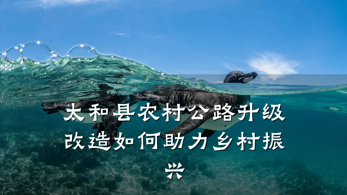太和县农村公路升级改造如何助力乡村振兴