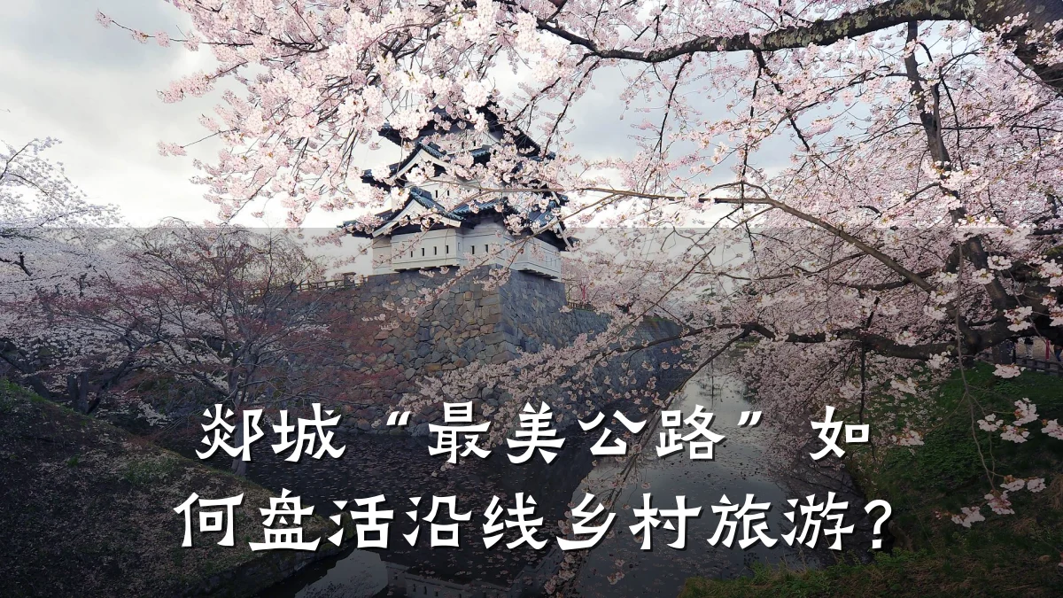 郯城“最美公路”如何盘活沿线乡村旅游?