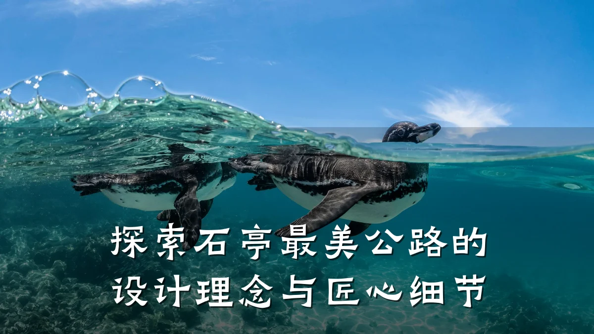 探索石亭最美公路的设计理念与匠心细节