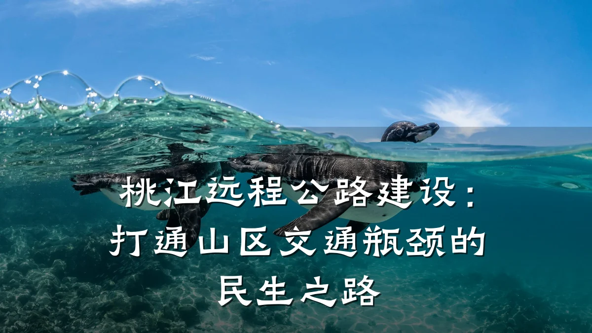 桃江远程公路建设:打通山区交通瓶颈的民生之路