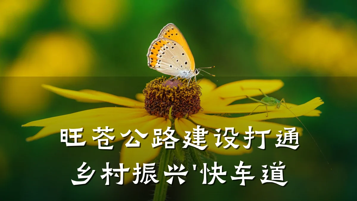 旺苍公路建设打通乡村振兴'快车道