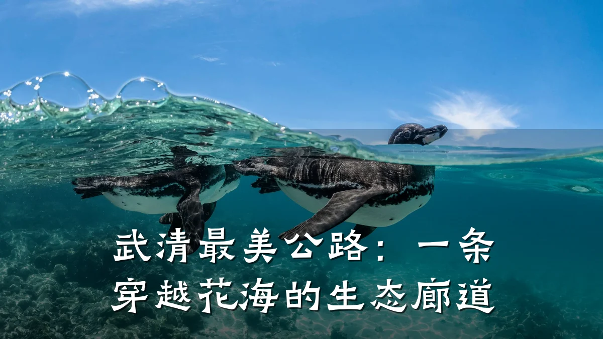 武清最美公路：一条穿越花海的生态廊道