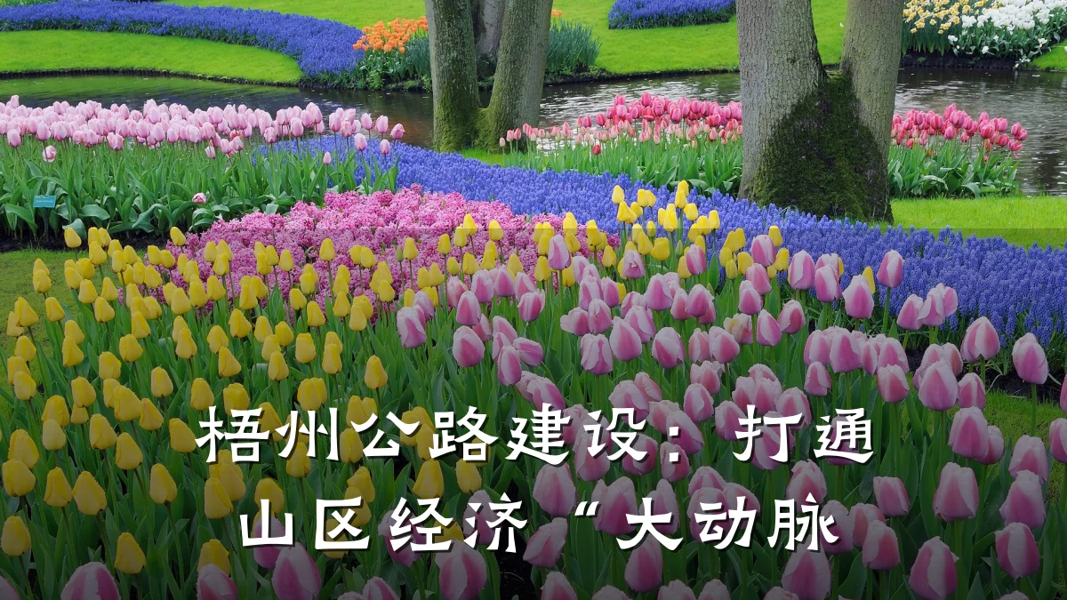 梧州公路建设：打通山区经济“大动脉
