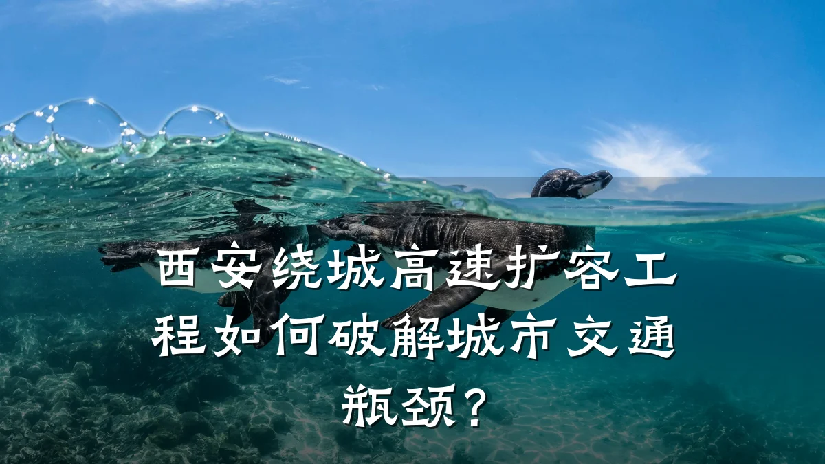 西安绕城高速扩容工程如何破解城市交通瓶颈?