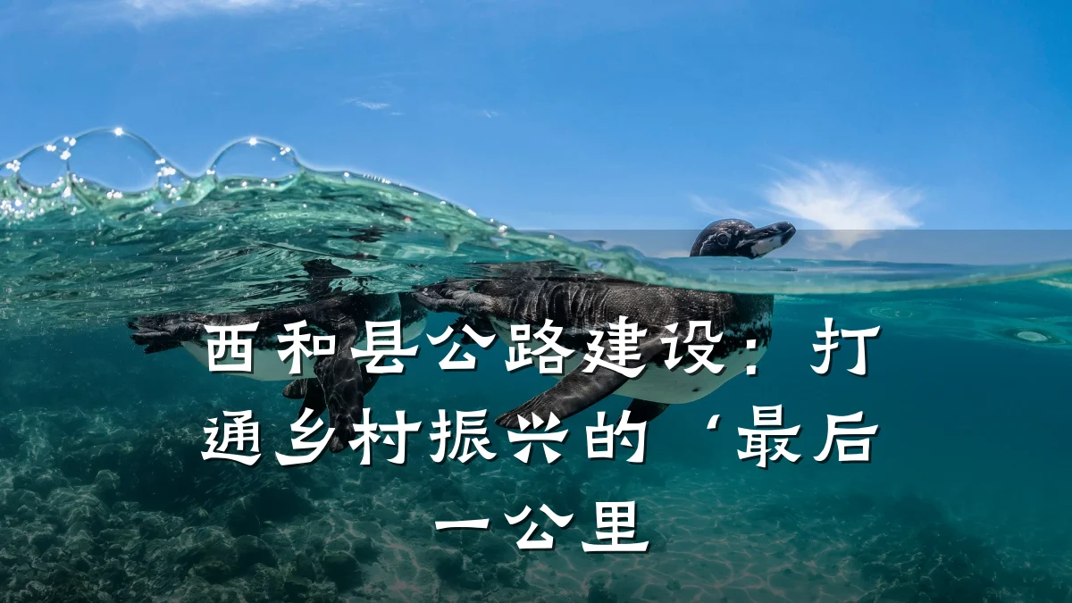 西和县公路建设:打通乡村振兴的‘最后一公里