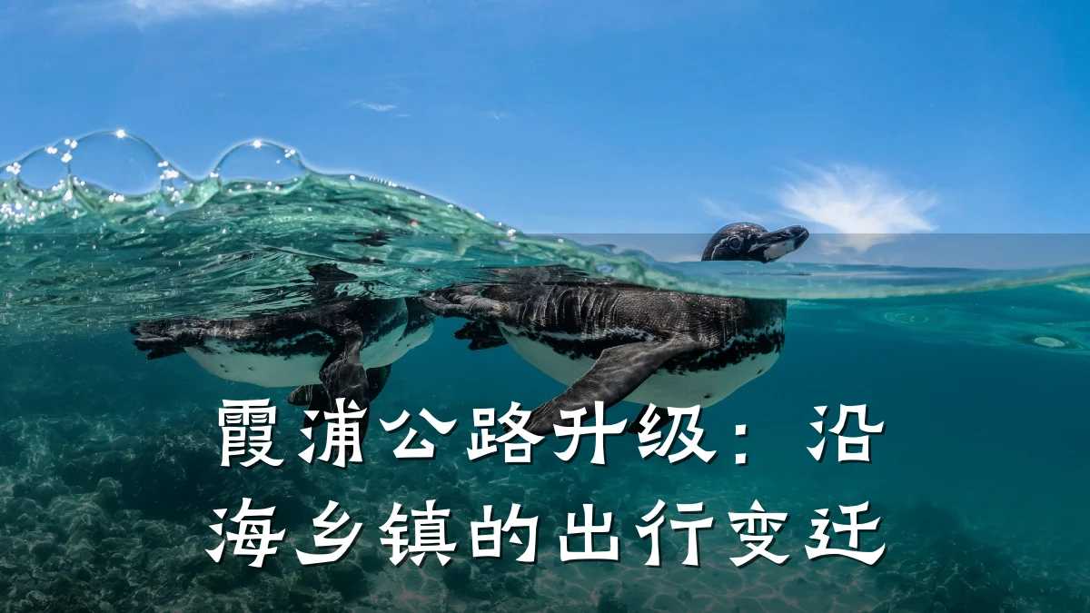 霞浦公路升级:沿海乡镇的出行变迁