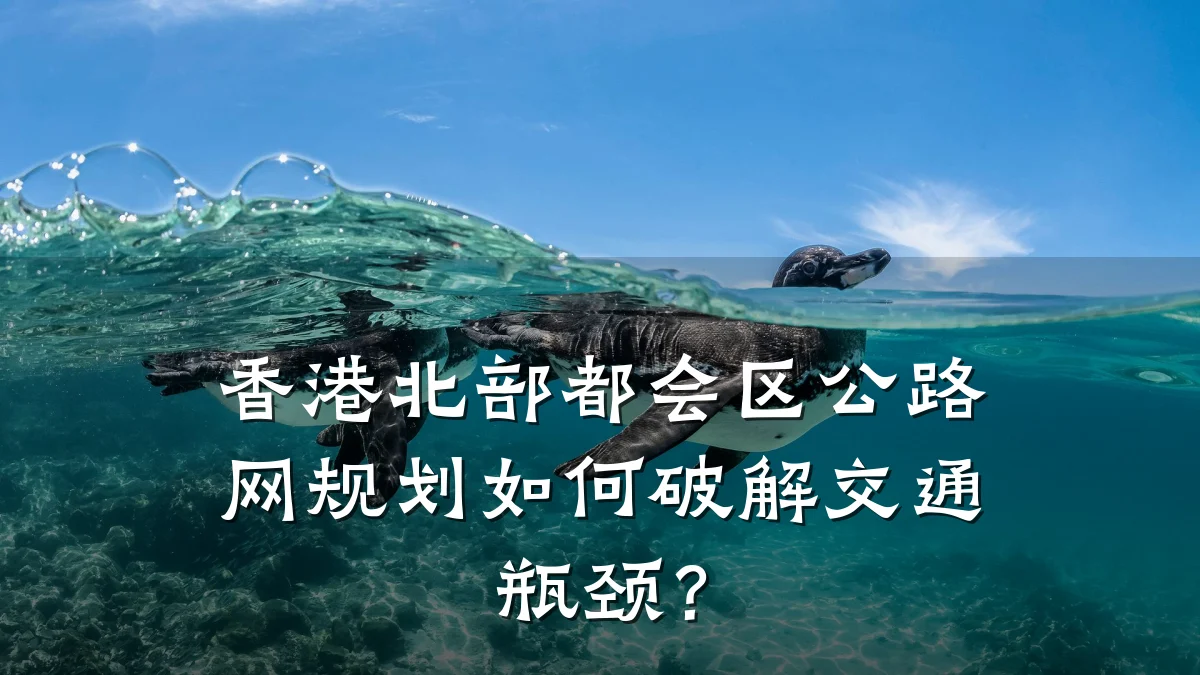 香港北部都会区公路网规划如何破解交通瓶颈?