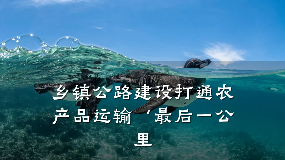 乡镇公路建设打通农产品运输‘最后一公里