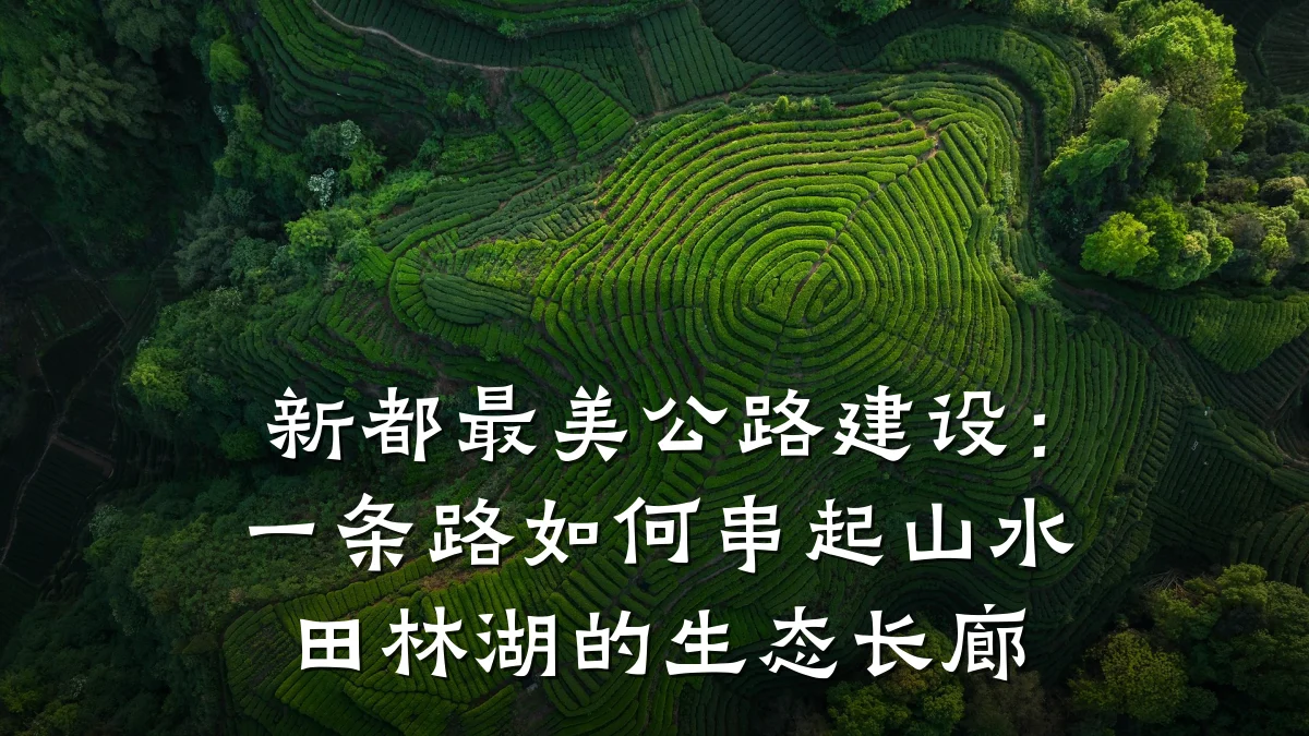 新都最美公路建设:一条路如何串起山水田林湖的生态长廊