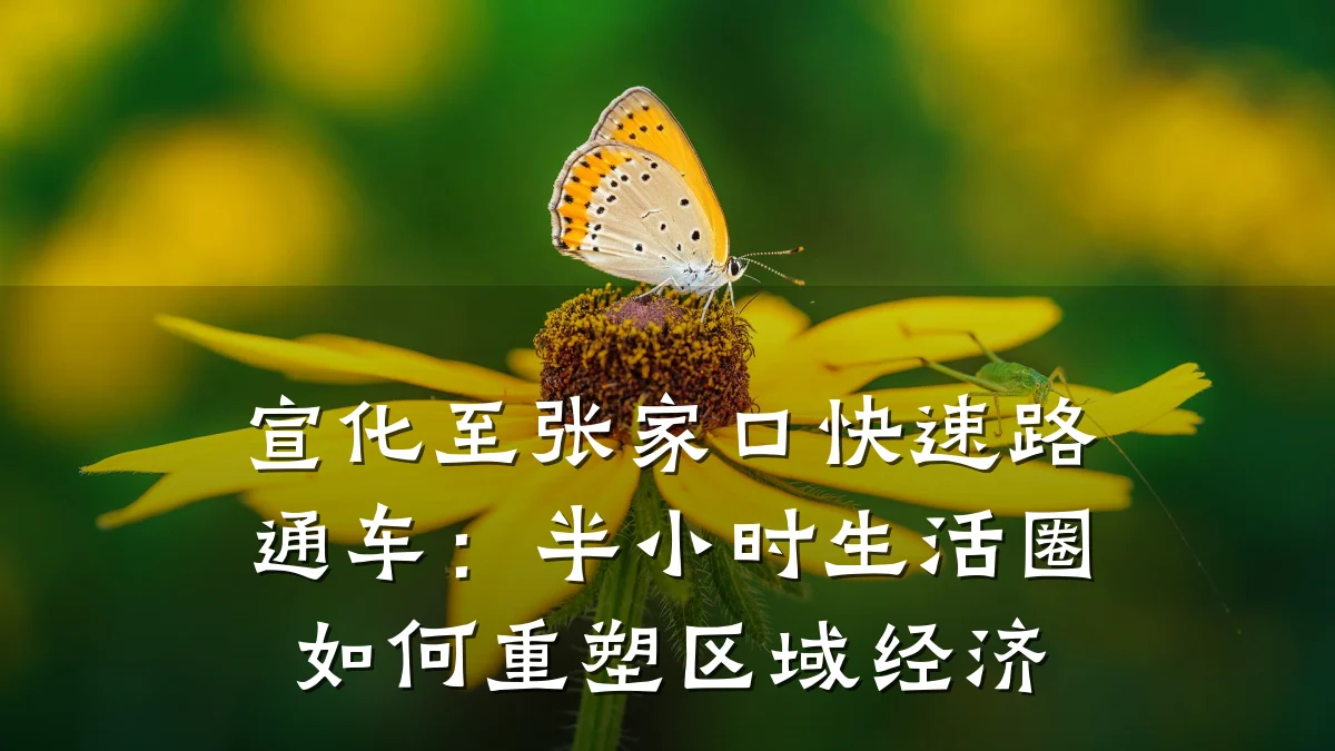 宣化至张家口快速路通车:半小时生活圈如何重塑区域经济