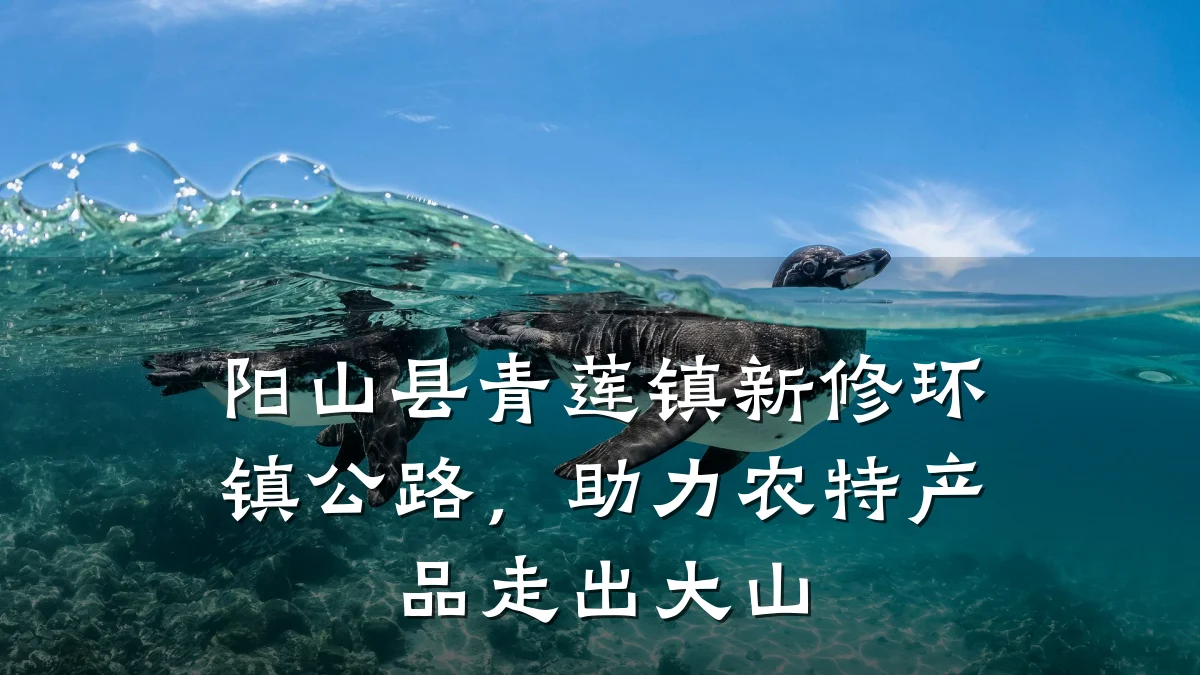 阳山县青莲镇新修环镇公路,助力农特产品走出大山