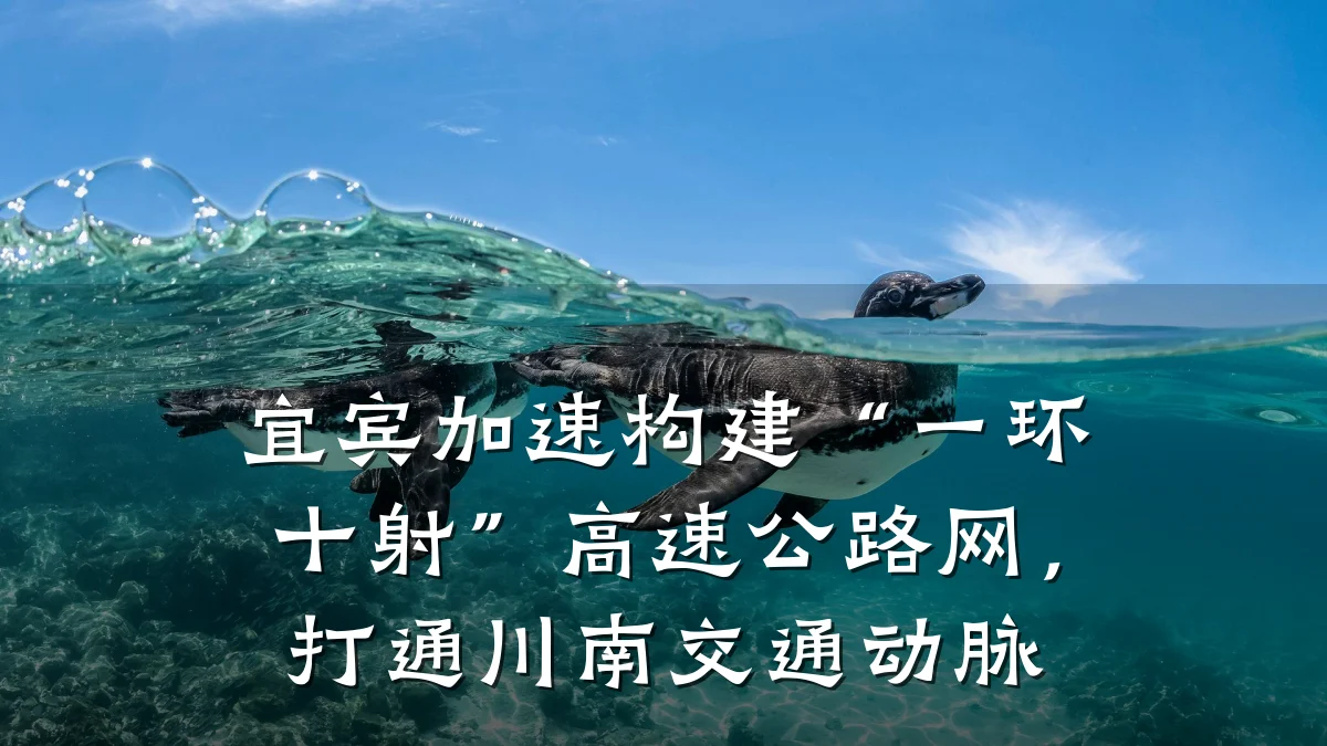 宜宾加速构建“一环十射”高速公路网,打通川南交通动脉