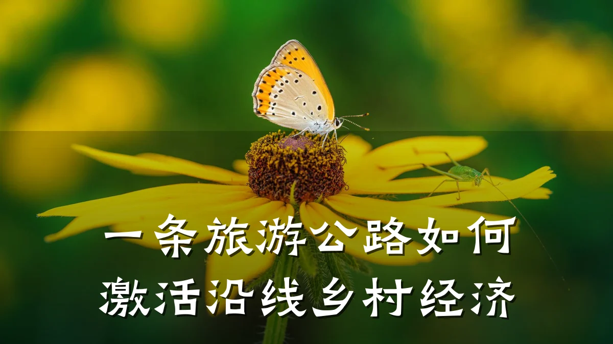 一条旅游公路如何激活沿线乡村经济