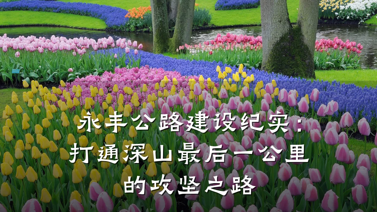 永丰公路建设纪实：打通深山最后一公里的攻坚之路