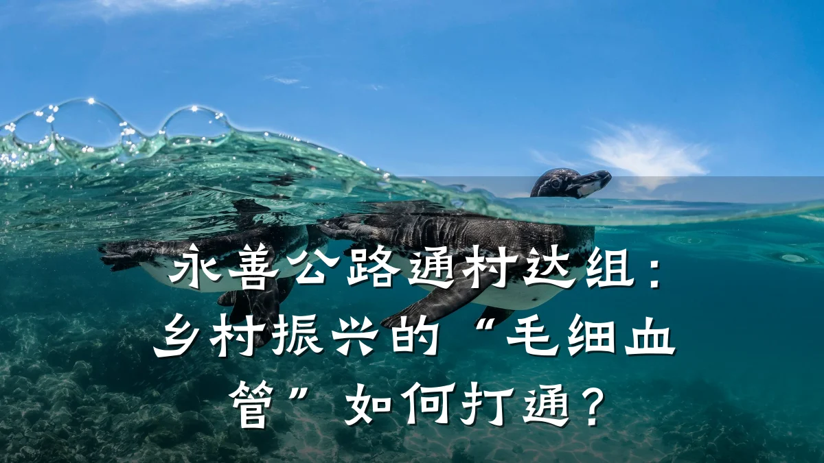 永善公路通村达组:乡村振兴的“毛细血管”如何打通?
