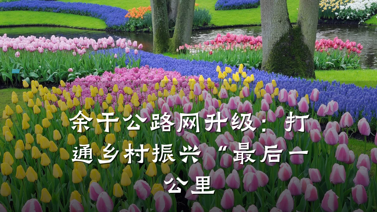 余干公路网升级：打通乡村振兴“最后一公里