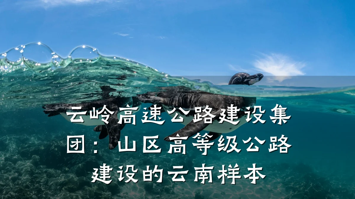 云岭高速公路建设集团:山区高等级公路建设的云南样本