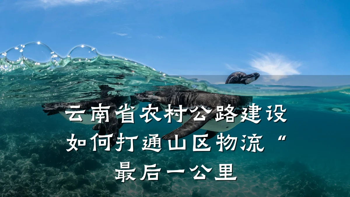 云南省农村公路建设如何打通山区物流“最后一公里