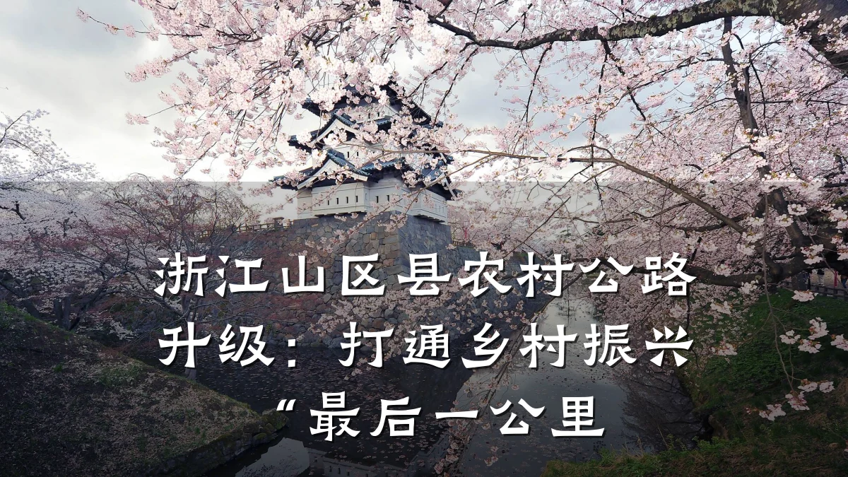 浙江山区县农村公路升级：打通乡村振兴“最后一公里