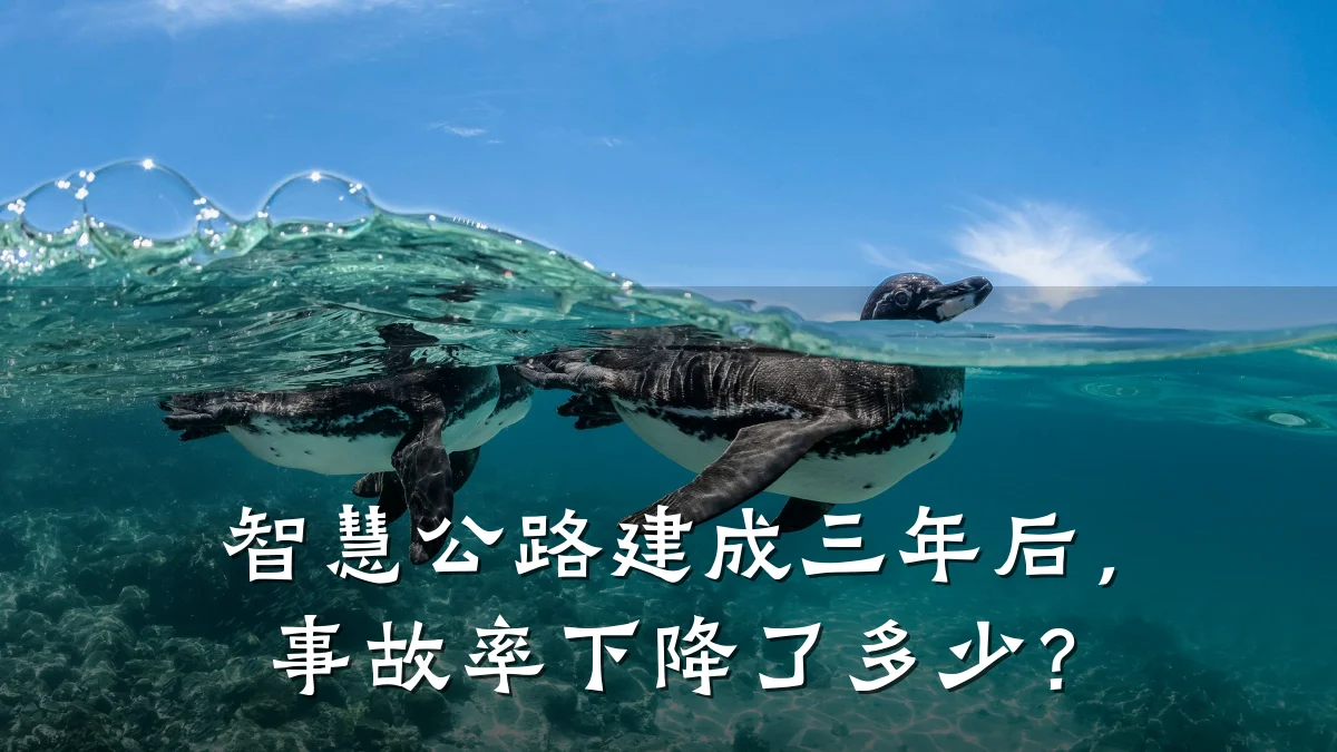 智慧公路建成三年后,事故率下降了多少?