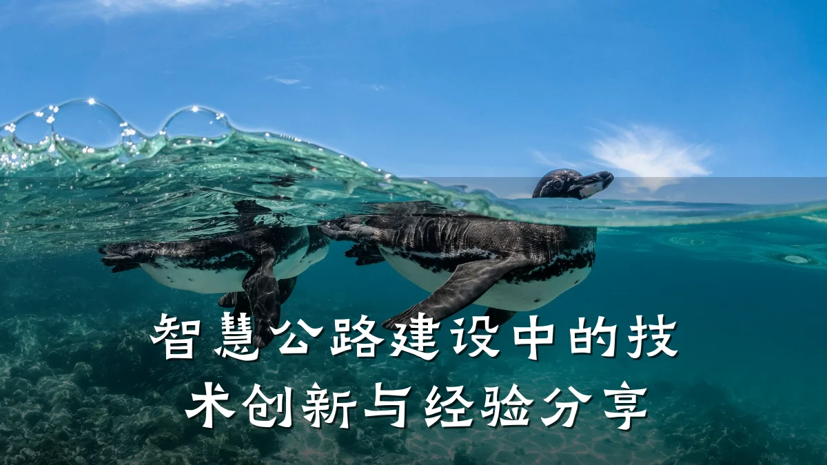 智慧公路建设中的技术创新与经验分享