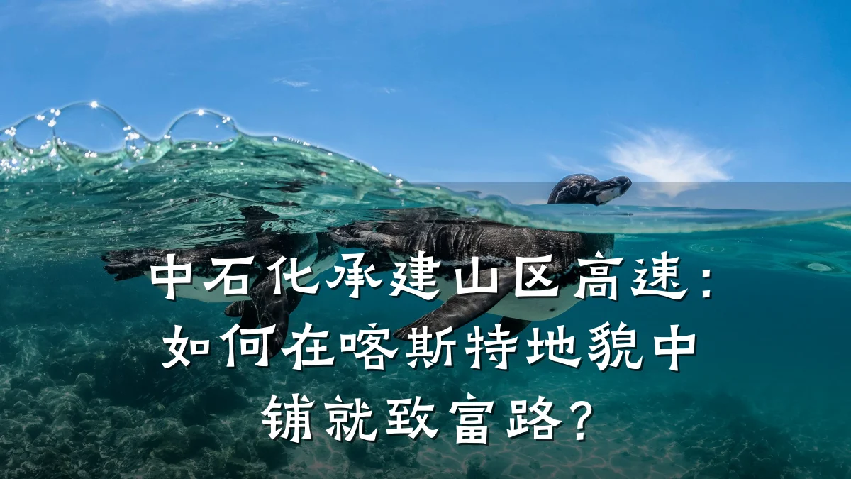 中石化承建山区高速:如何在喀斯特地貌中铺就致富路?