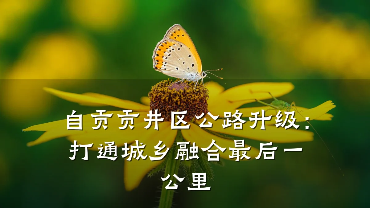 自贡贡井区公路升级:打通城乡融合最后一公里
