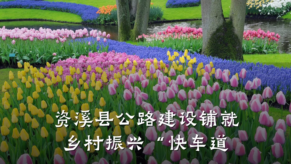 资溪县公路建设铺就乡村振兴“快车道